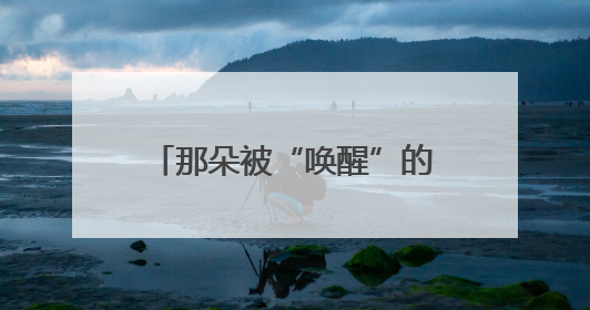 那朵被“唤醒”的云｜人民气象事业创建80周年印记