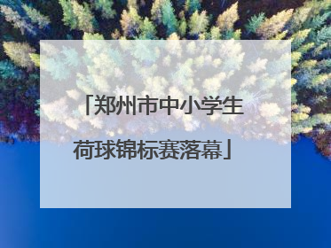 郑州市中小学生荷球锦标赛落幕
