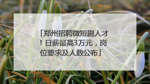 郑州招聘微短剧人才！日薪最高3万元，岗位要求及人数公布
