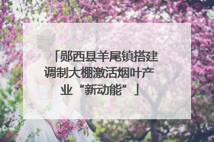 郧西县羊尾镇搭建调制大棚激活烟叶产业“新动能”