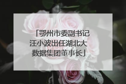 鄂州市委副书记汪小波出任湖北大数据集团董事长
