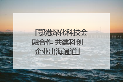 鄂港深化科技金融合作 共建科创企业出海通道