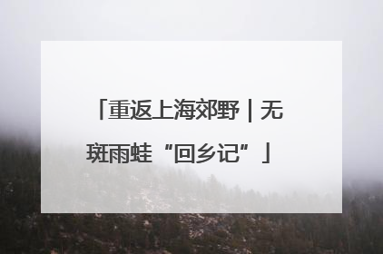 重返上海郊野｜无斑雨蛙“回乡记”