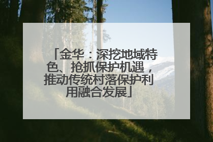 金华：深挖地域特色、抢抓保护机遇，推动传统村落保护利用融合发展