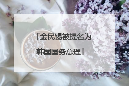 金民锡被提名为韩国国务总理