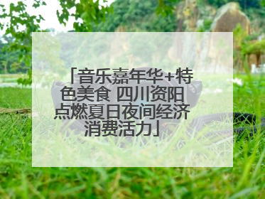 音乐嘉年华+特色美食 四川资阳点燃夏日夜间经济消费活力