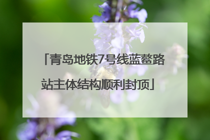 青岛地铁7号线蓝鳌路站主体结构顺利封顶
