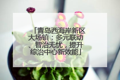 青岛西海岸新区大场镇：多元联动、智治无忧，提升综治中心新效能