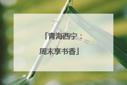 青海西宁：周末享书香