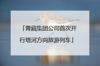青藏集团公司首次开行塔河方向旅游列车