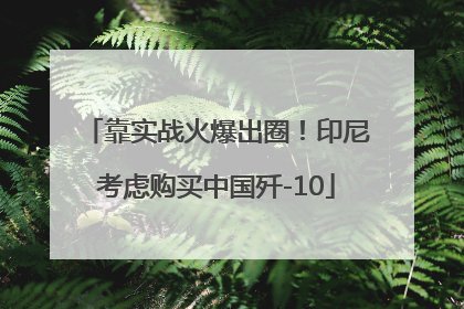 靠实战火爆出圈！印尼考虑购买中国歼-10