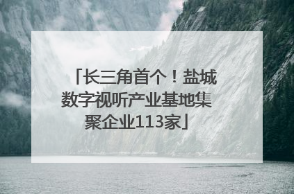 长三角首个！盐城数字视听产业基地集聚企业113家