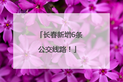 长春新增6条公交线路！