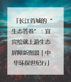 长江首城的“生态答卷”：宜宾绘就上游生态屏障新图景｜中华环保世纪行