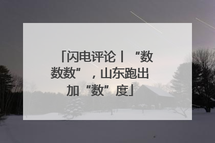 闪电评论丨“数数数”，山东跑出加“数”度