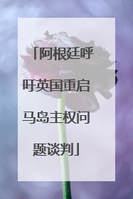 阿根廷呼吁英国重启马岛主权问题谈判