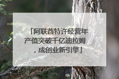 阿联酋特许经营年产值突破千亿迪拉姆，成创业新引擎