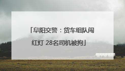 阜阳交警：货车组队闯红灯 28名司机被拘