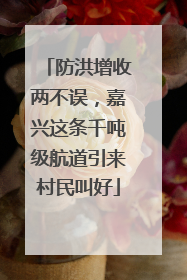 防洪增收两不误，嘉兴这条千吨级航道引来村民叫好
