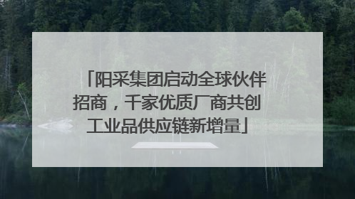 阳采集团启动全球伙伴招商，千家优质厂商共创工业品供应链新增量