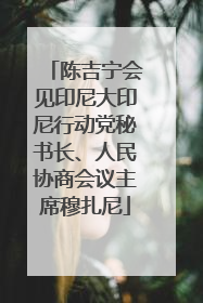 陈吉宁会见印尼大印尼行动党秘书长、人民协商会议主席穆扎尼