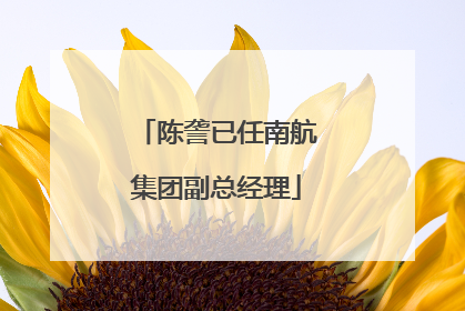 陈詟已任南航集团副总经理