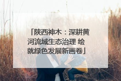 陕西神木：深耕黄河流域生态治理 绘就绿色发展新画卷