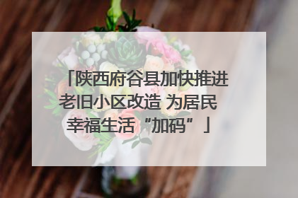 陕西府谷县加快推进老旧小区改造 为居民幸福生活“加码”