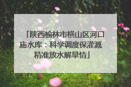 陕西榆林市横山区河口庙水库：科学调度保灌溉 精准放水解旱情