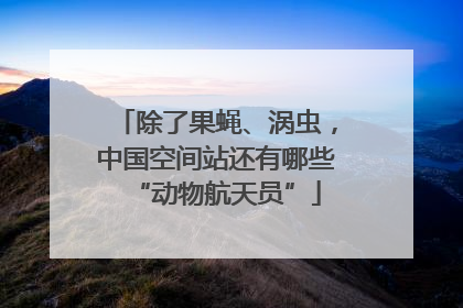 除了果蝇、涡虫，中国空间站还有哪些“动物航天员”