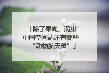 除了果蝇、涡虫 中国空间站还有哪些“动物航天员”