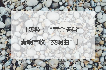 零陵：“黄金搭档”奏响丰收“交响曲”