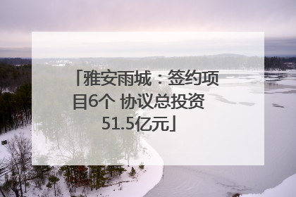 雅安雨城：签约项目6个 协议总投资51.5亿元