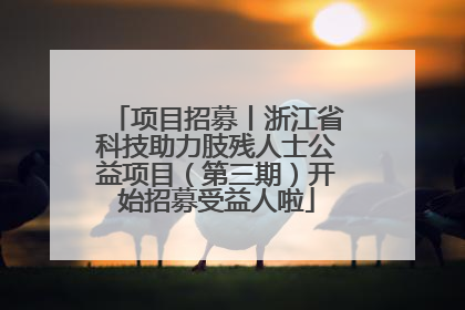 项目招募丨浙江省科技助力肢残人士公益项目（第三期）开始招募受益人啦