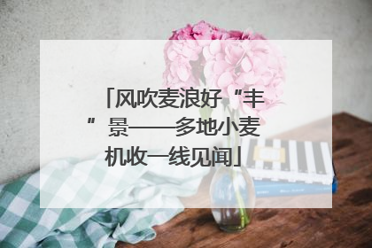 风吹麦浪好“丰”景——多地小麦机收一线见闻