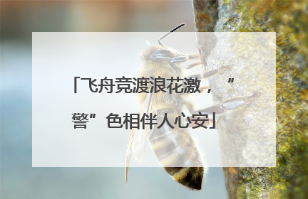 飞舟竞渡浪花激，“警”色相伴人心安