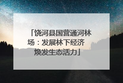 饶河县国营通河林场：发展林下经济 焕发生态活力