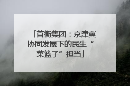 首衡集团：京津冀协同发展下的民生“菜篮子”担当