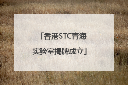 香港STC青海实验室揭牌成立