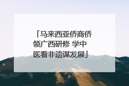 马来西亚侨商侨领广西研修 学中医看非遗谋发展