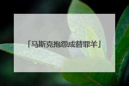 马斯克抱怨成替罪羊