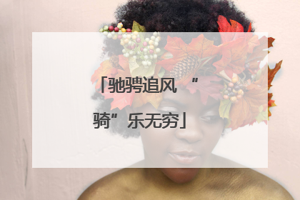 驰骋追风 “骑”乐无穷