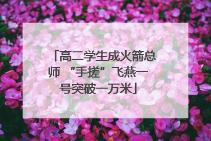 高二学生成火箭总师 “手搓”飞燕一号突破一万米