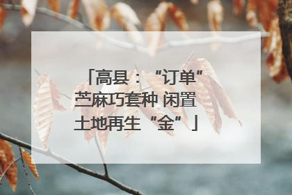 高县：“订单”苎麻巧套种 闲置土地再生“金”