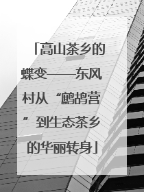 高山茶乡的蝶变——东风村从“鹧鸪营”到生态茶乡的华丽转身