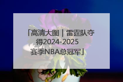 高清大图｜雷霆队夺得2024-2025赛季NBA总冠军