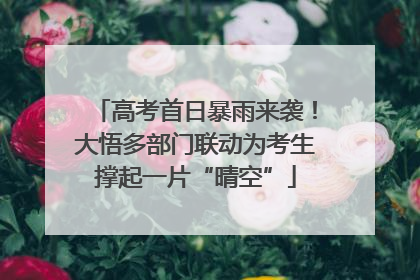 高考首日暴雨来袭！大悟多部门联动为考生撑起一片“晴空”