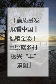 高质量发展看中国丨福稻金浪千重绘就乡村振兴“丰”景图