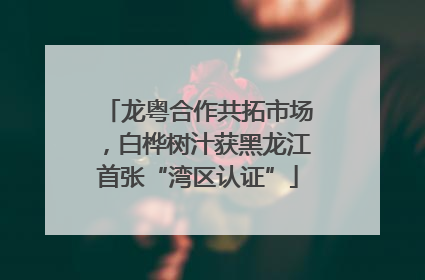 龙粤合作共拓市场，白桦树汁获黑龙江首张“湾区认证”