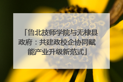 鲁北技师学院与无棣县政府：共建政校企协同赋能产业升级新范式